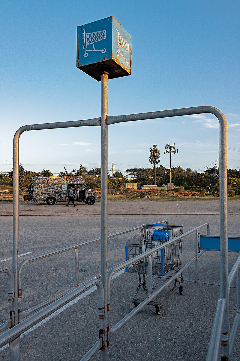 Fauxliage: Checked Out, Marina, CA<p>© Annette LeMay Burke</p>