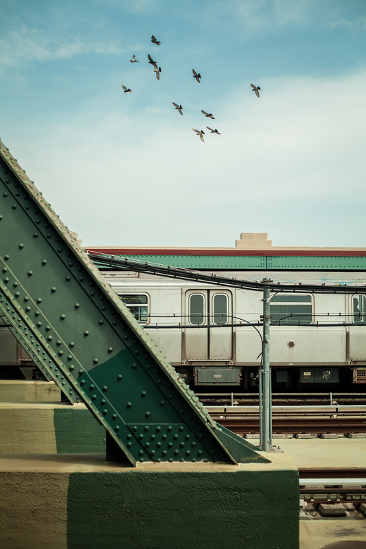 Coast In Color (New York, USA 2018)<p>© Arthur Bauer</p>