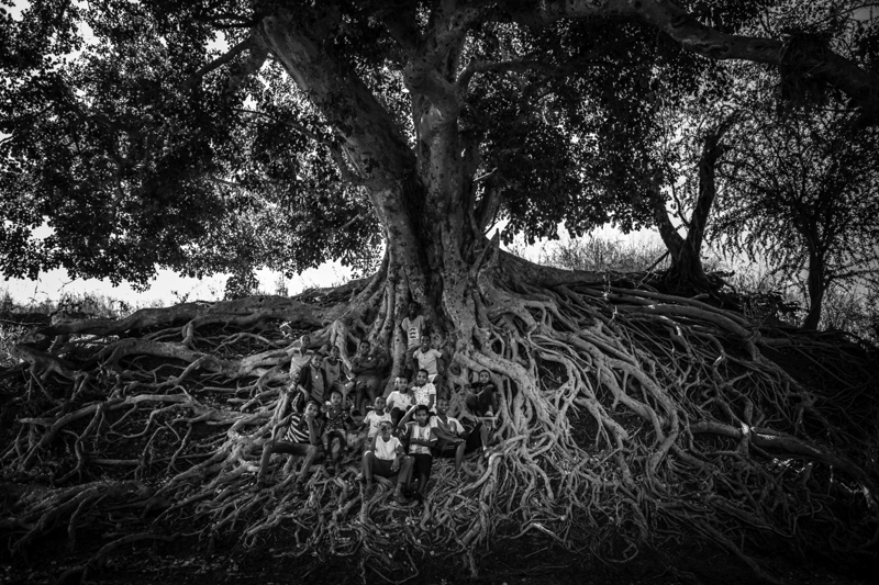 The tree of life, Ethiopia<p>© Bernard Benavides</p>
