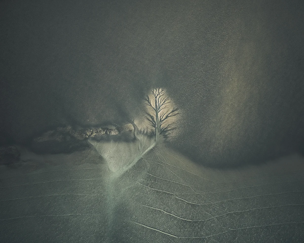 <p>© Brigitte Bourger</p>