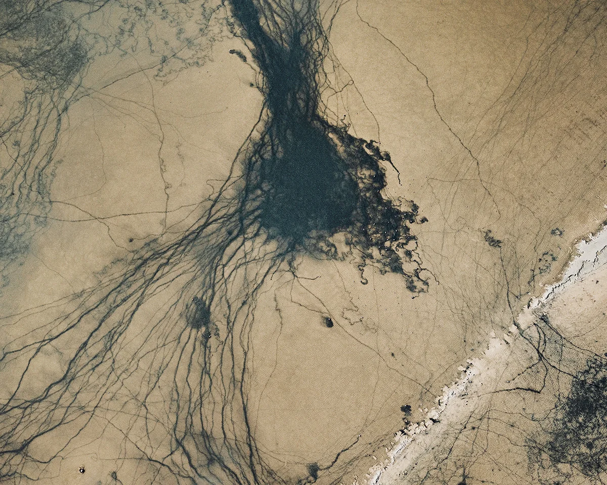 <p>© Brigitte Bourger</p>