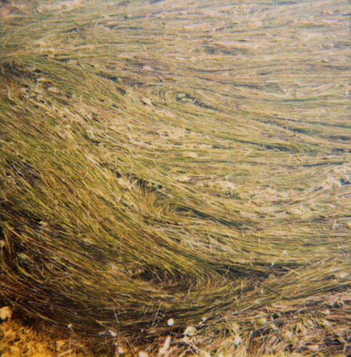 Des électrons sous les paupières 2<p>© Elise Boularan</p>