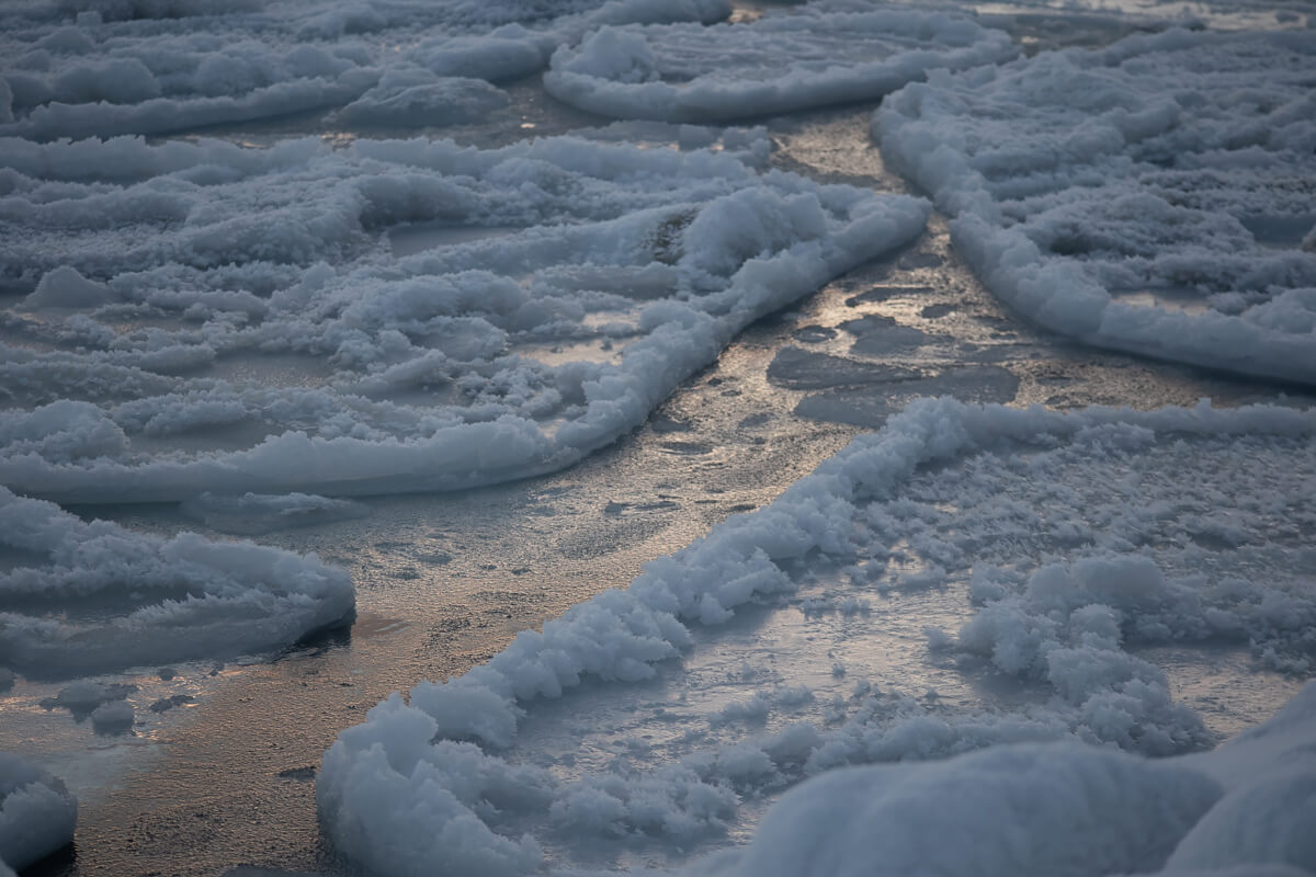 Pancake Ice<p>© Elizabeth Bourne</p>