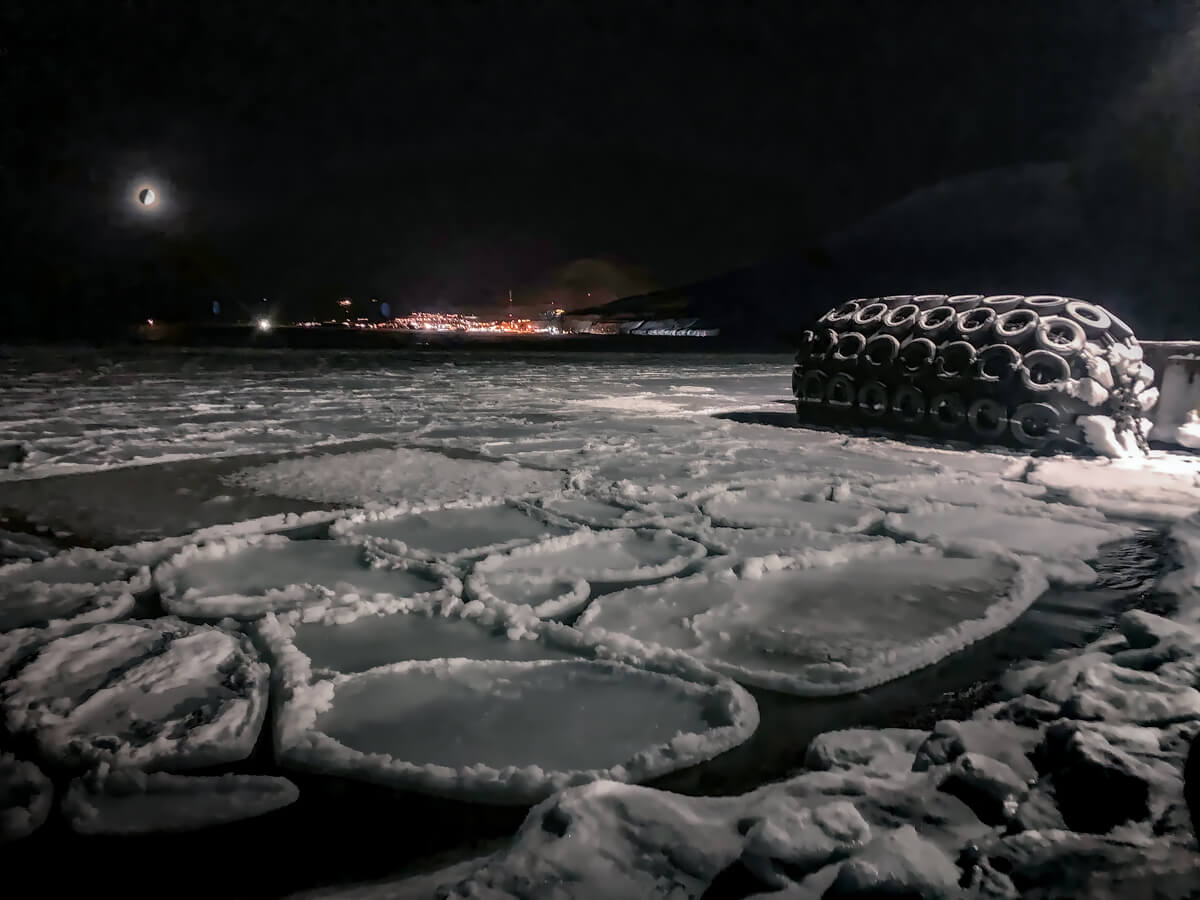 Polar Night<p>© Elizabeth Bourne</p>