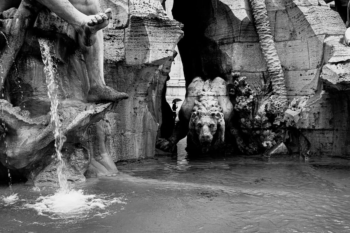 <p>© Fabrizio Bonifazi</p>