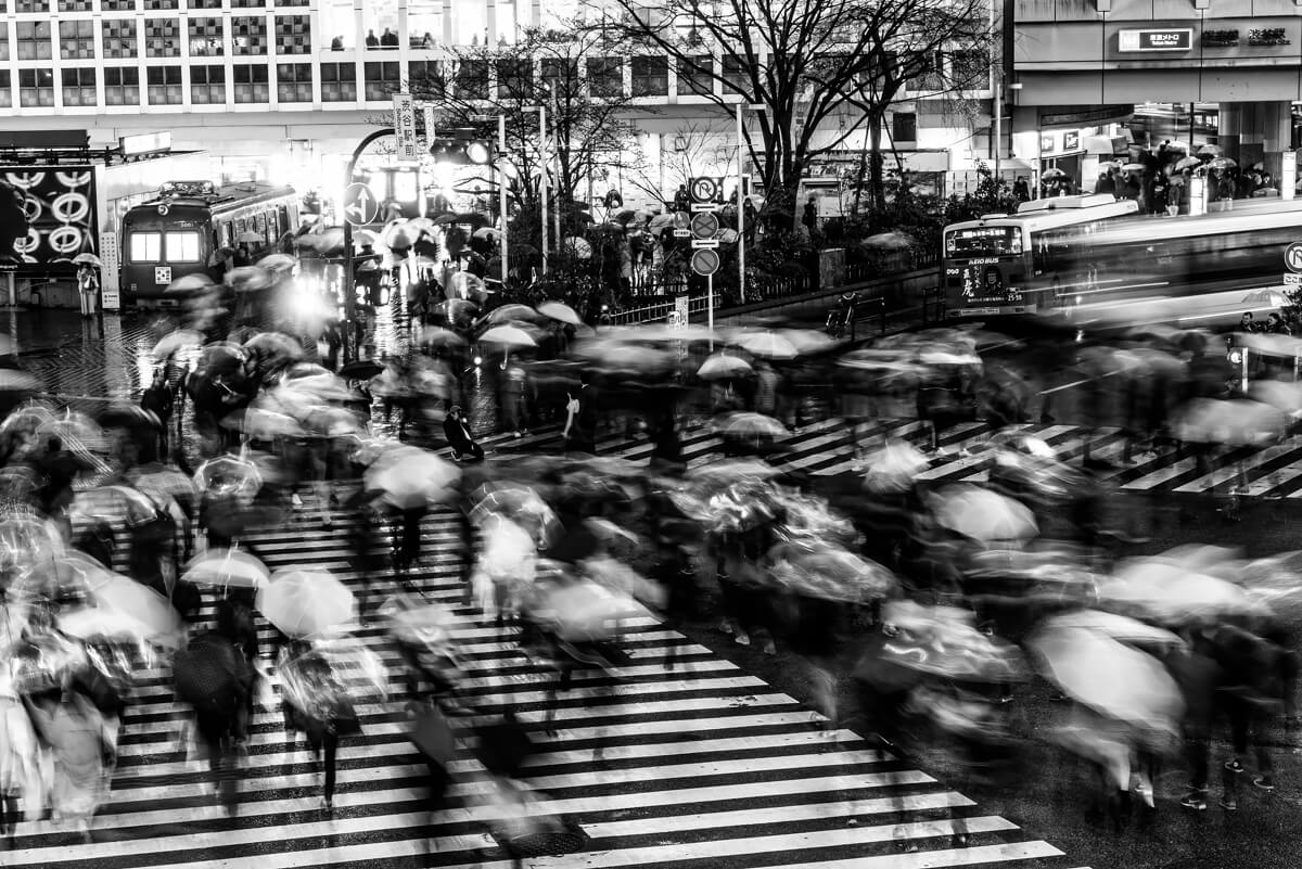 <p>© Fabrizio Bonifazi</p>