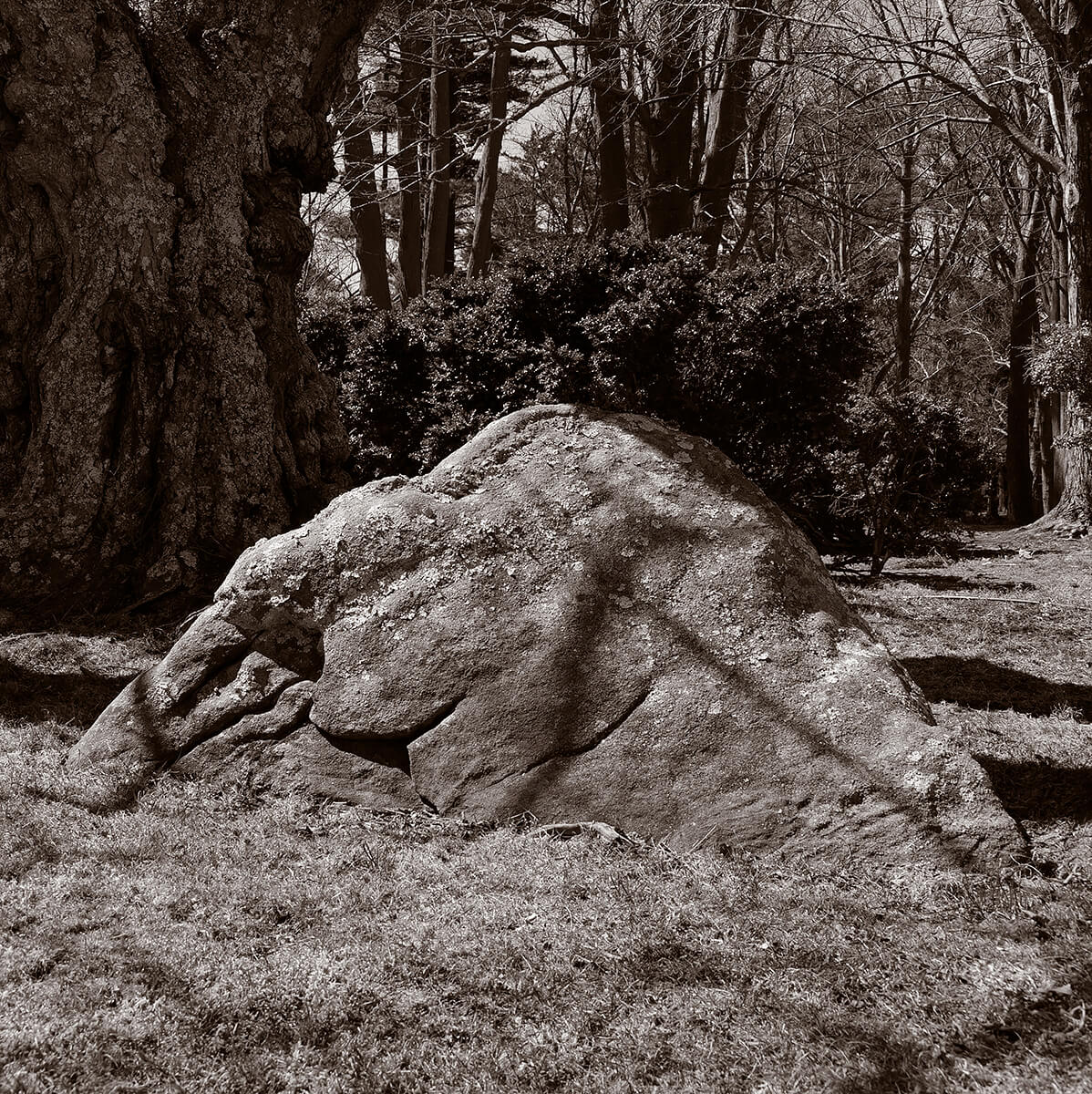 Massive Stone<p>© Gary Beeber</p>