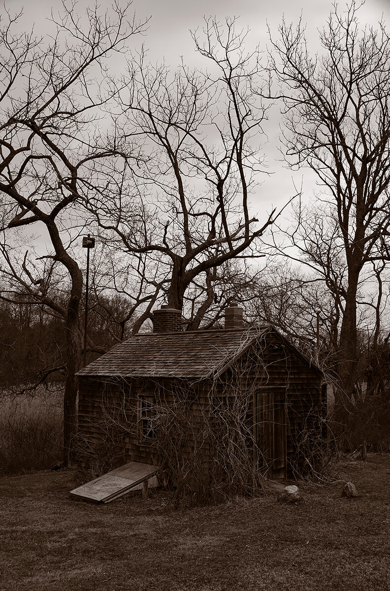 Haunted Trees<p>© Gary Beeber</p>