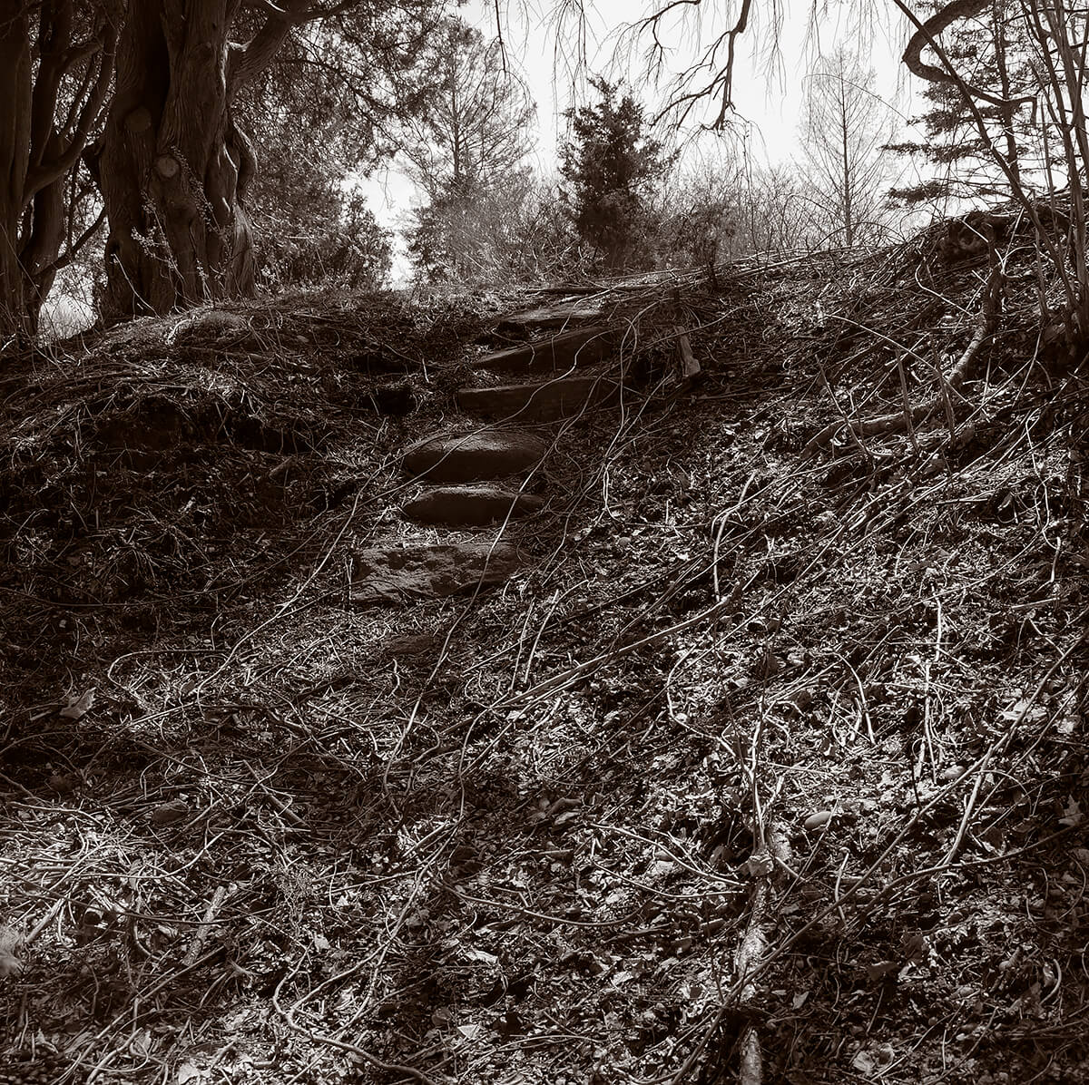 Ruined Stairway<p>© Gary Beeber</p>