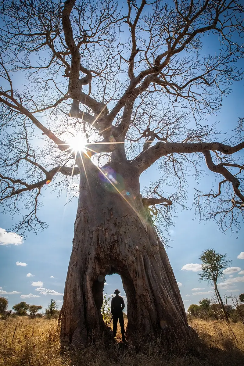 A Tunnel Like No Other<p>&copy; George Dian Balan</p>