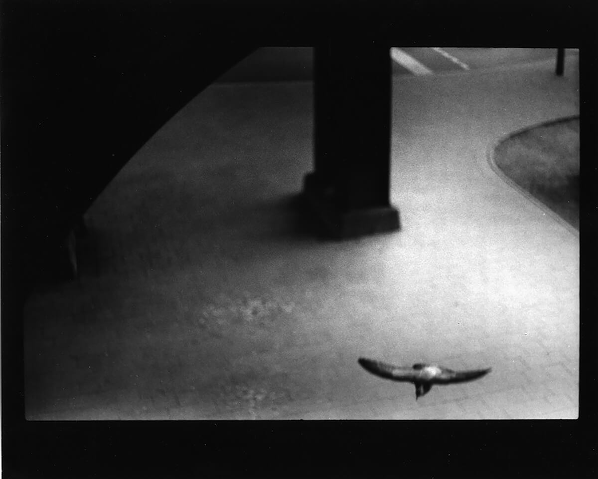 <p>© Giacomo Brunelli</p>