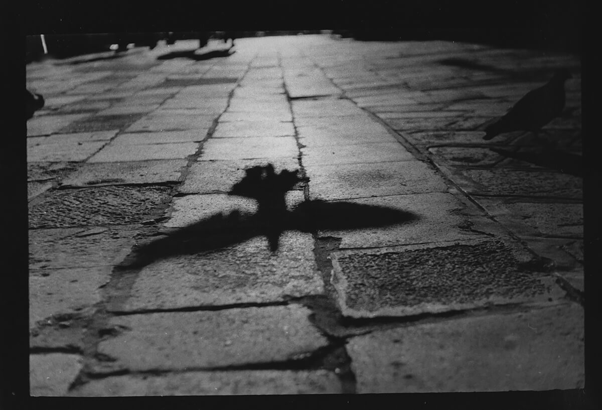 <p>© Giacomo Brunelli</p>