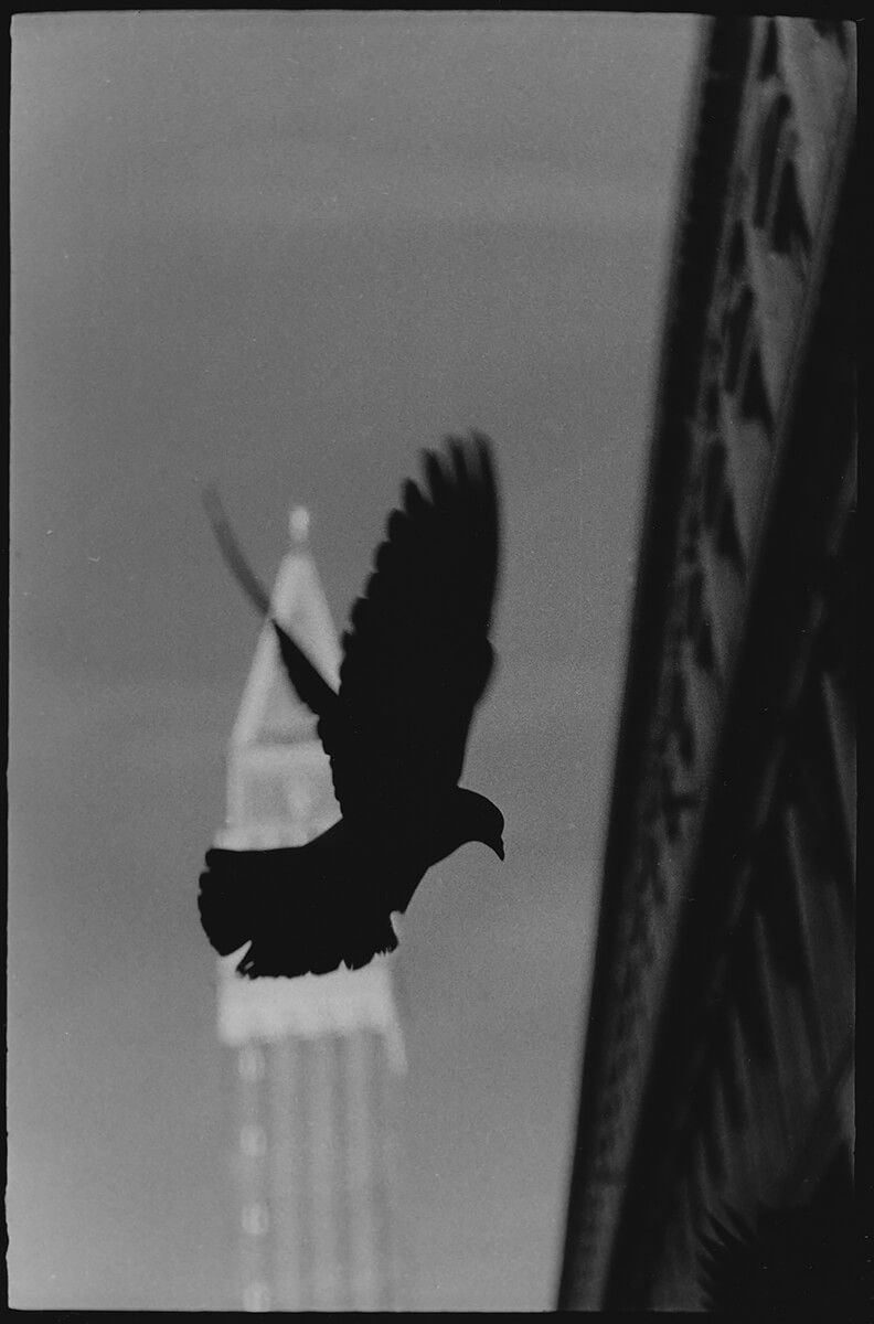 <p>© Giacomo Brunelli</p>