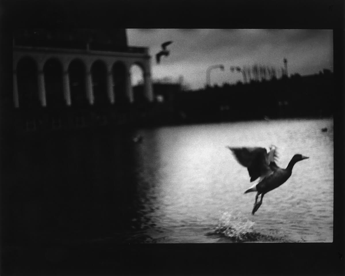 <p>© Giacomo Brunelli</p>