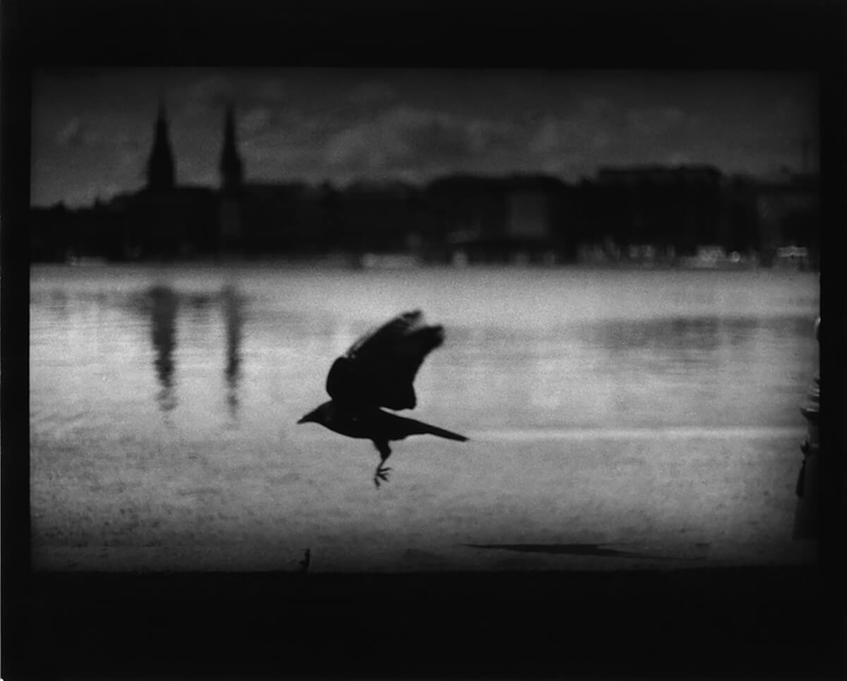 <p>© Giacomo Brunelli</p>