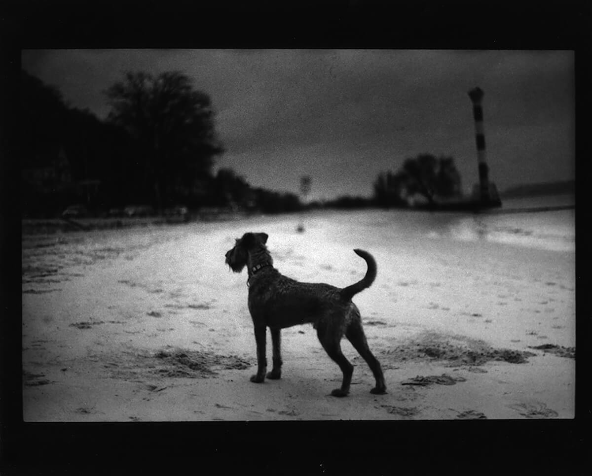 <p>© Giacomo Brunelli</p>