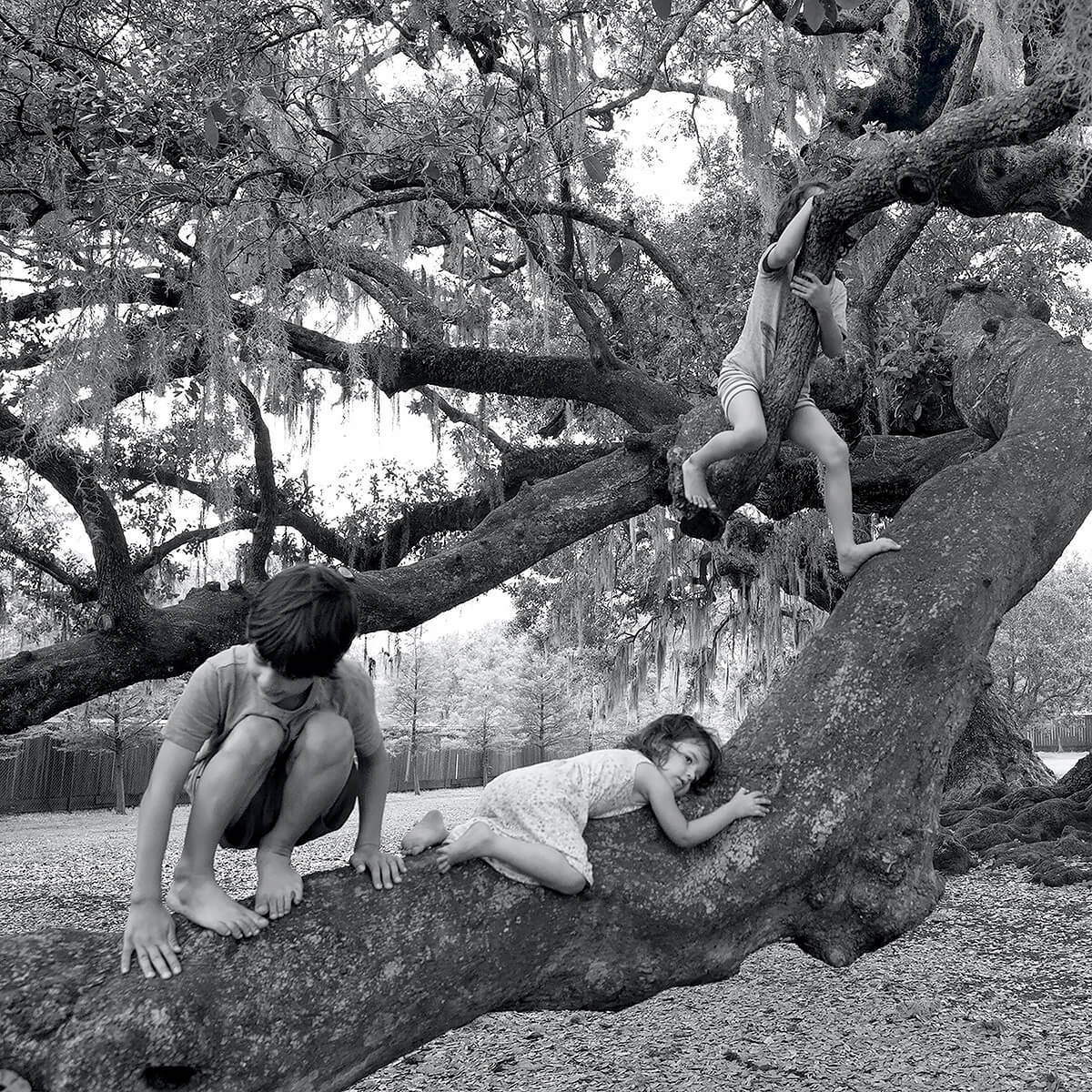 Tree of Life, New Orleans,  Louisiana, 2018<p>© Gloria Baker Feinstein</p>