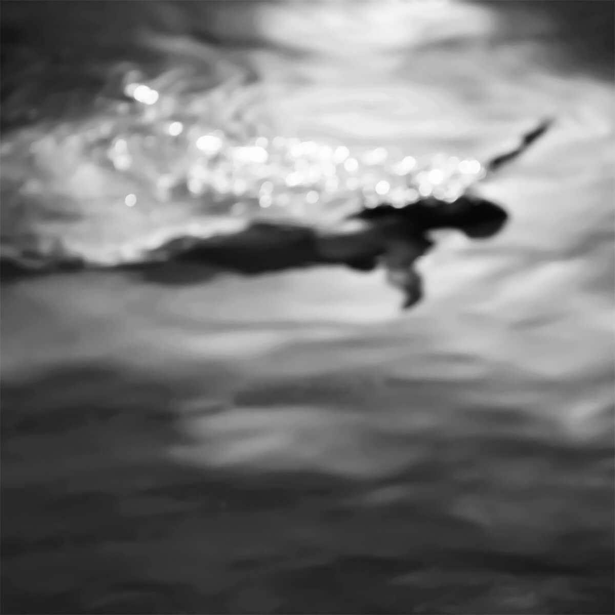 Swimmer, Kansas City, Missouri, 2015<p>© Gloria Baker Feinstein</p>