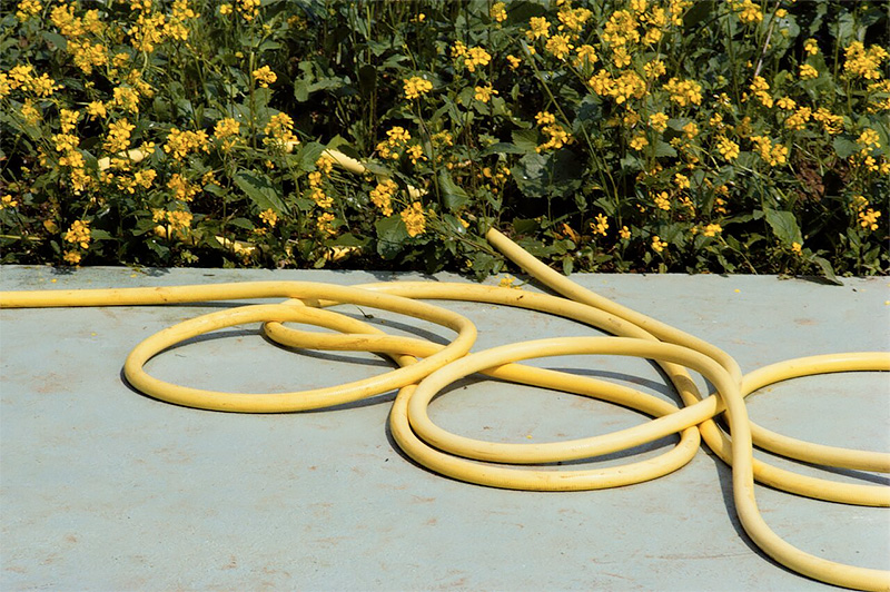 Guy Bourdin Archives, 1978, 1978<p>Courtesy Louise Alexander Gallery / © Guy Bourdin</p>