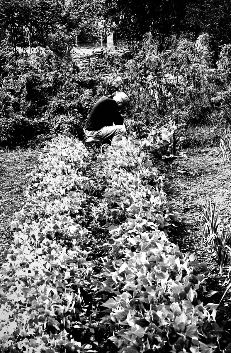 Il faut cultiver son jardin<p>&copy; Jean-François Block</p>