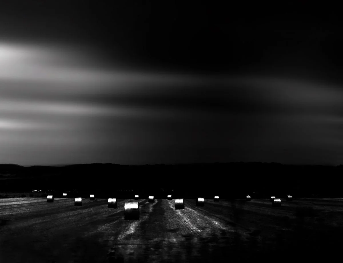 Champ d&rsquo;argent<p>&copy; Jean-François Block</p>