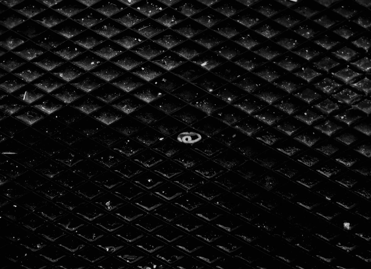 Tapi dans le tapis<p>&copy; Jean-François Block</p>