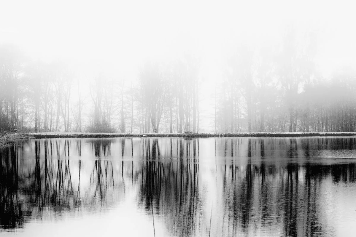 Automnaux reflets<p>&copy; Jean-François Block</p>