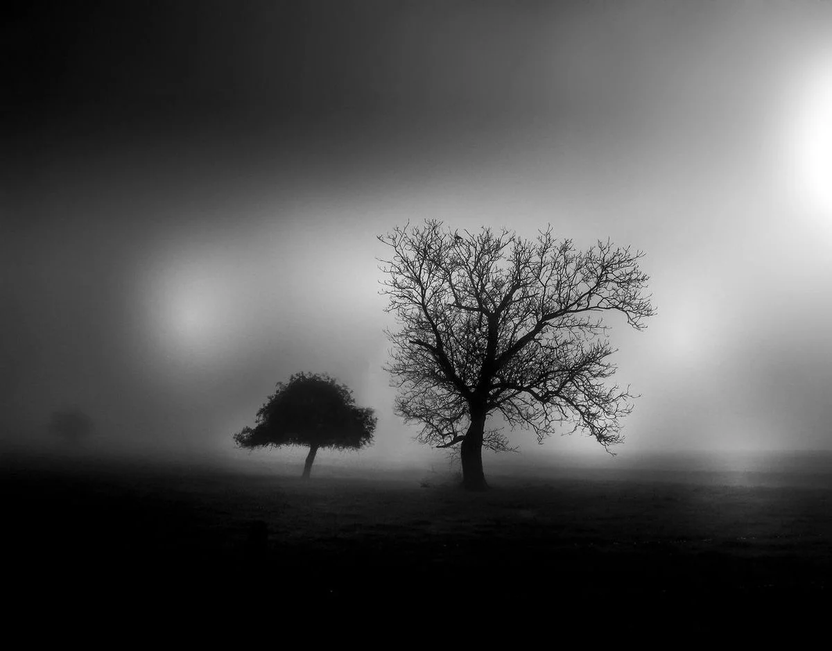 Embrouillardés<p>&copy; Jean-François Block</p>