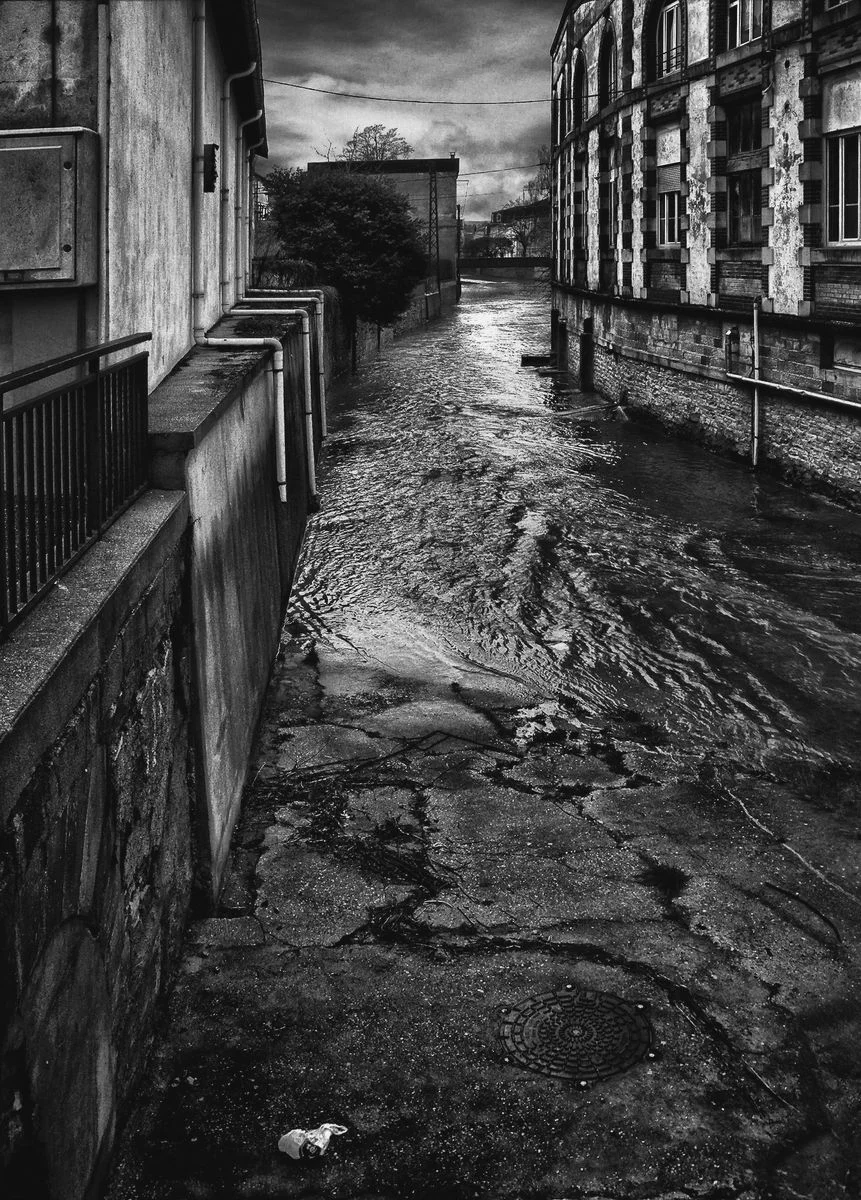 The Bag<p>&copy; Jean-François Block</p>