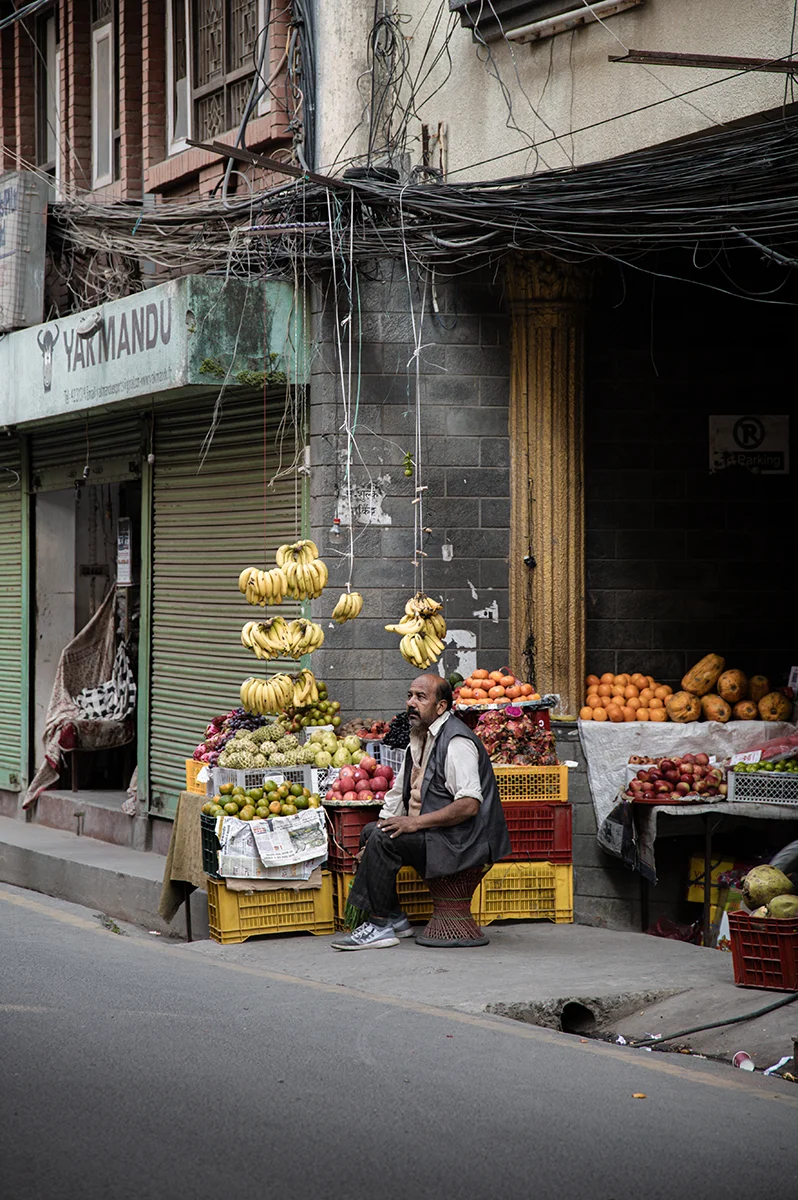 <p>© Jennifer Bazzoli</p>