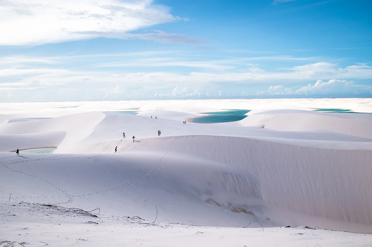 <p>© Jennifer Bazzoli</p>