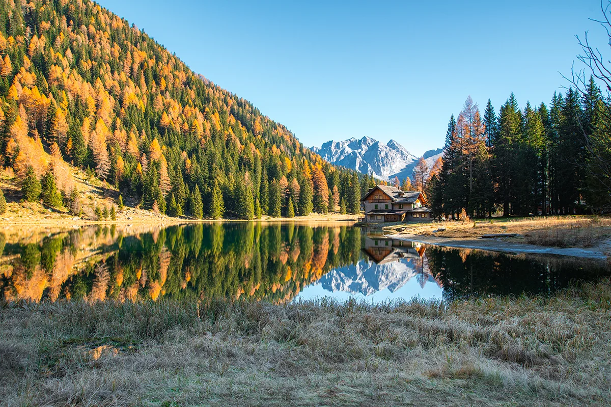 <p>© Jennifer Bazzoli</p>