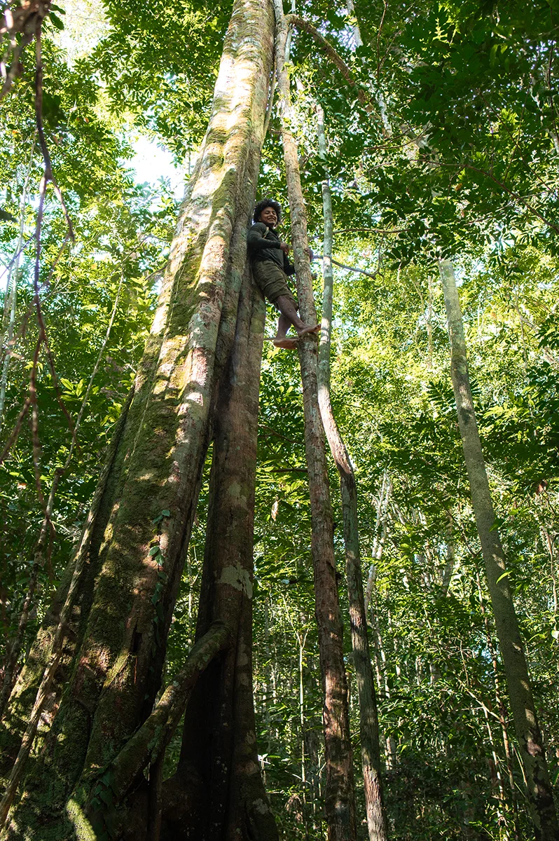 <p>© Jennifer Bazzoli</p>