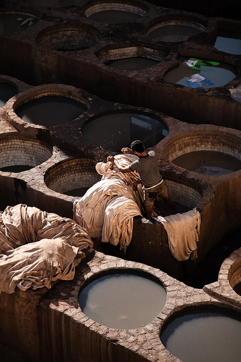 <p>© Jennifer Bazzoli</p>