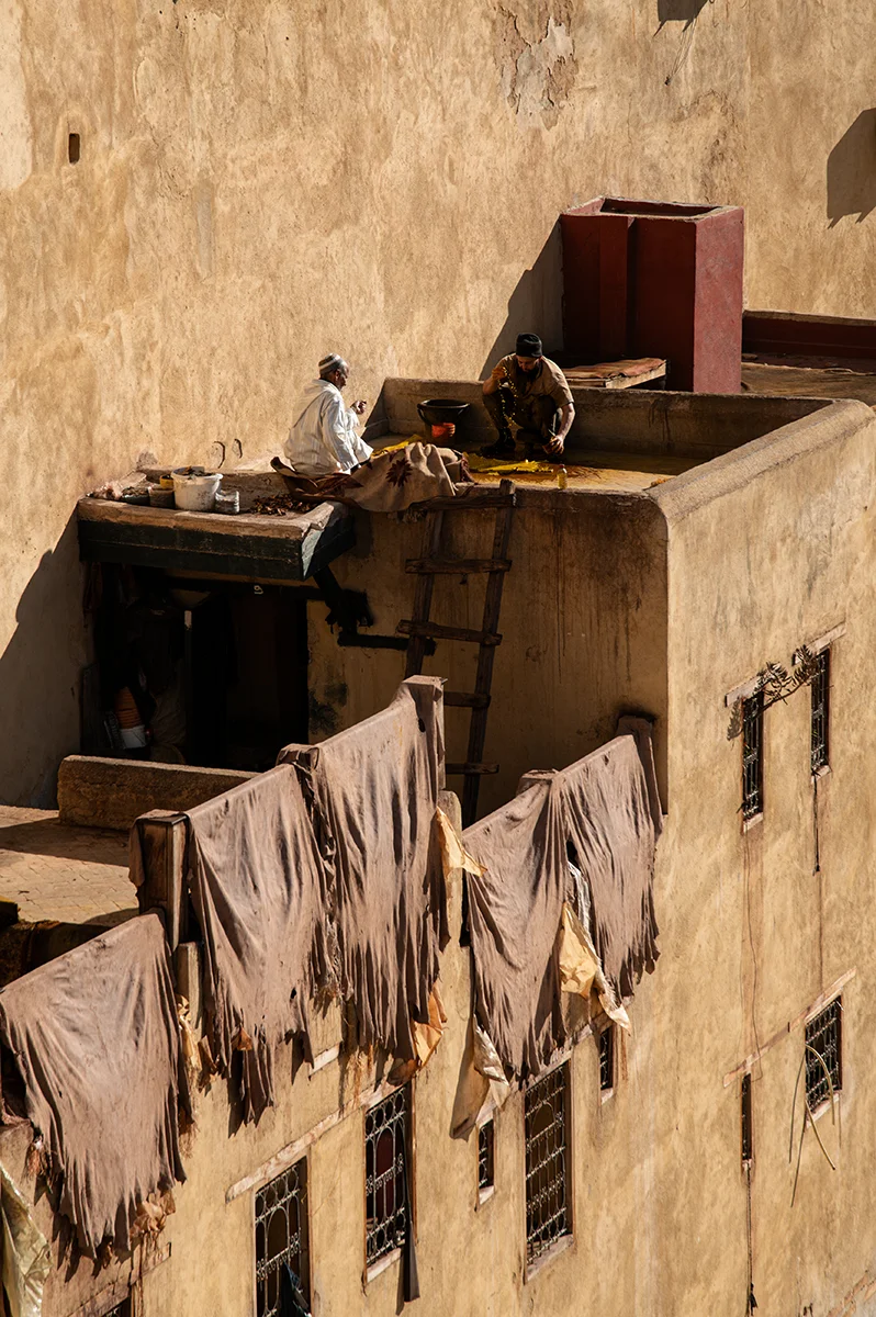 <p>© Jennifer Bazzoli</p>