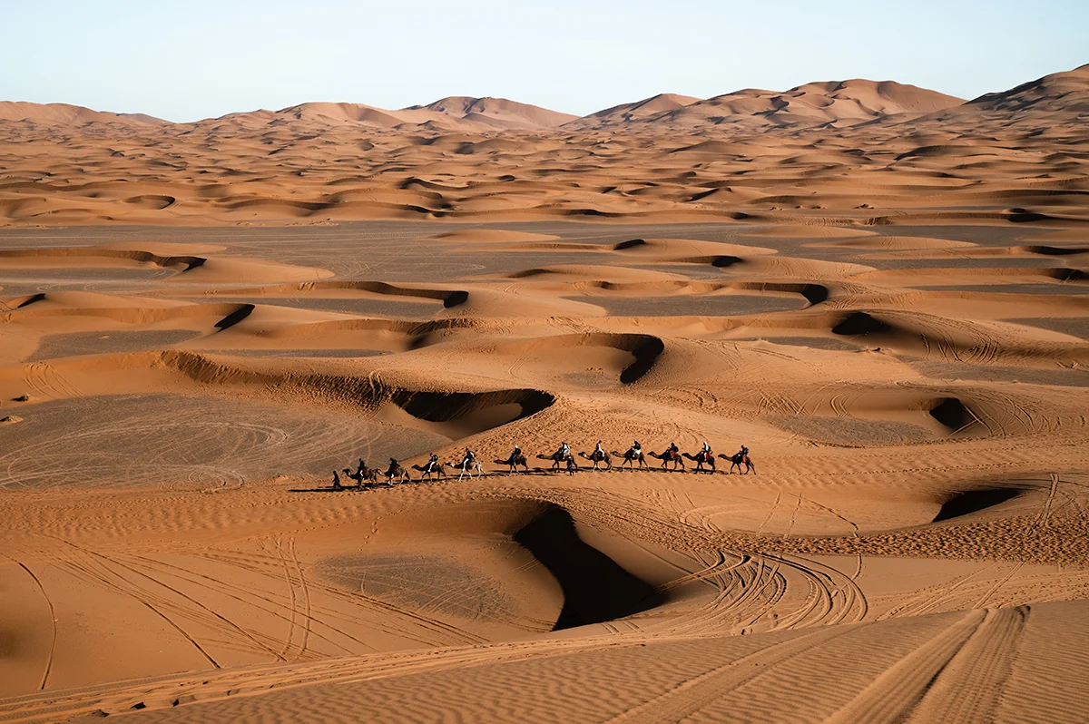 <p>© Jennifer Bazzoli</p>