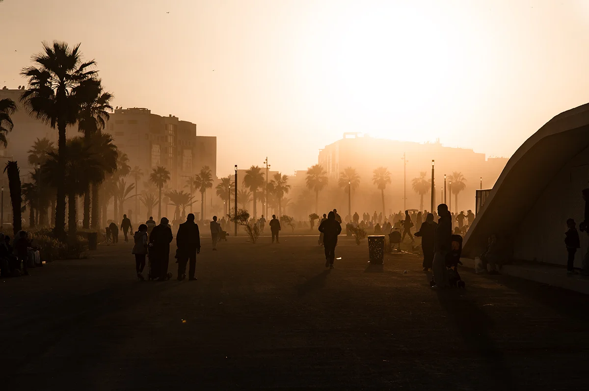 <p>© Jennifer Bazzoli</p>