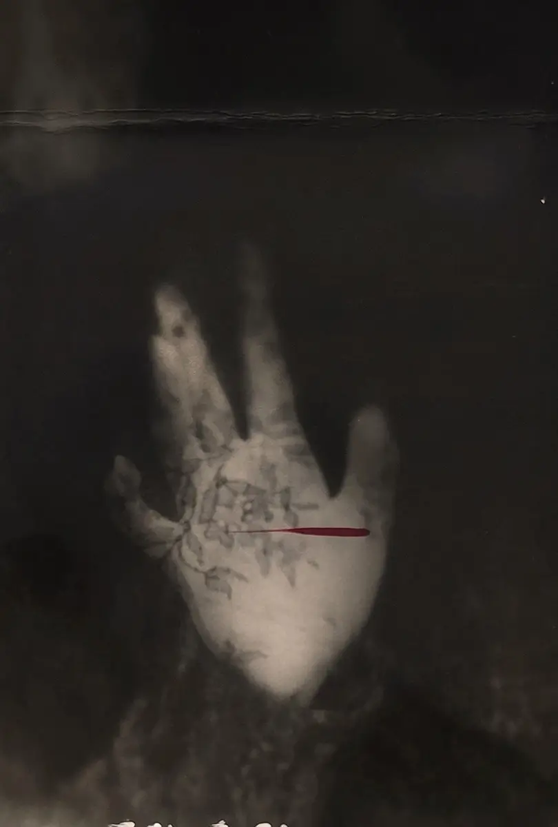 <p>&copy; Leonor Benito de la Lastra</p>