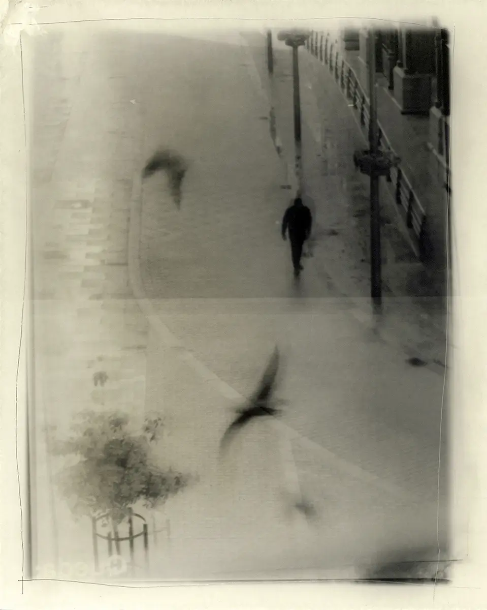 <p>&copy; Leonor Benito de la Lastra</p>