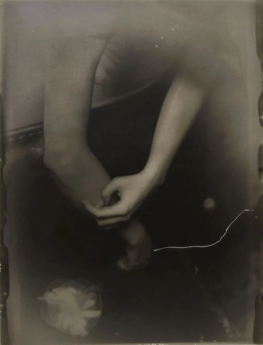 <p>&copy; Leonor Benito de la Lastra</p>