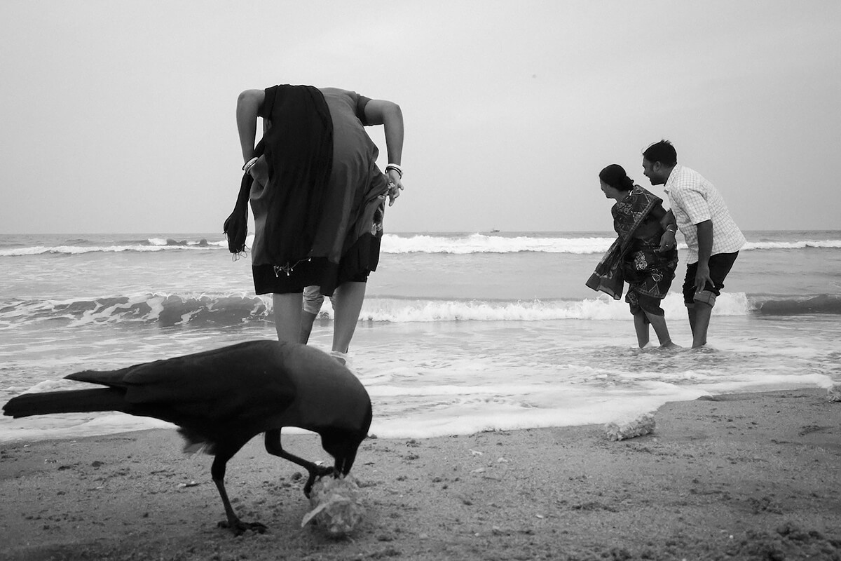 Marina<p>© Mahesh Balasubramanian</p>