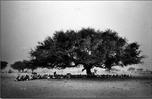 Displaced Sudanese take refuge under a tree in Disa, Northern Darfur.<p>© Marcus Bleasdale</p>