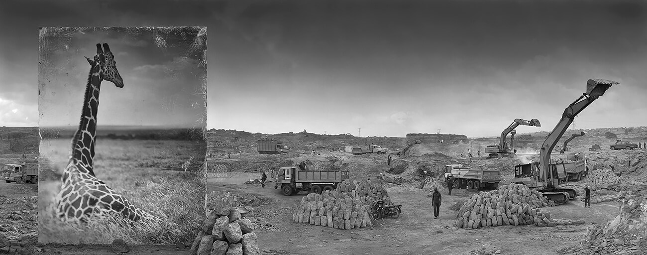 Inherit the Dust - Quarry with Giraffe<p>© Nick Brandt</p>