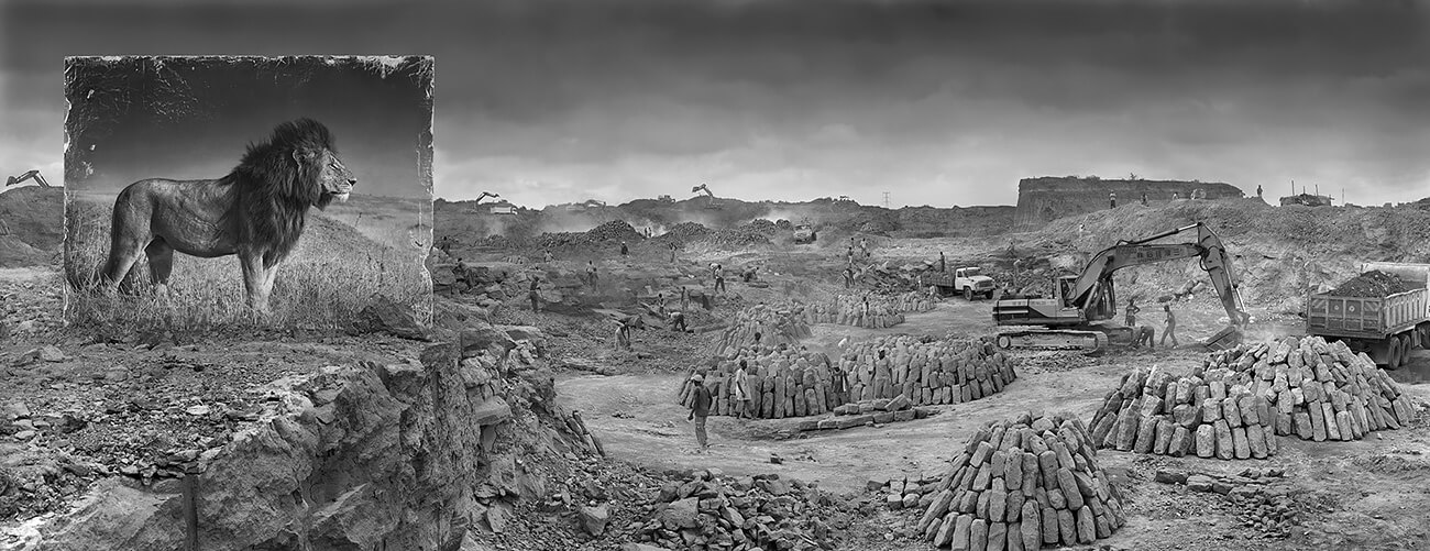 Inherit the Dust - Quarry with Lion<p>© Nick Brandt</p>