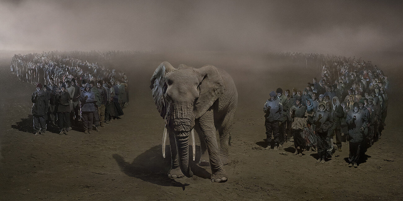 This Empty World - River of People with Elephant at Night<p>© Nick Brandt</p>