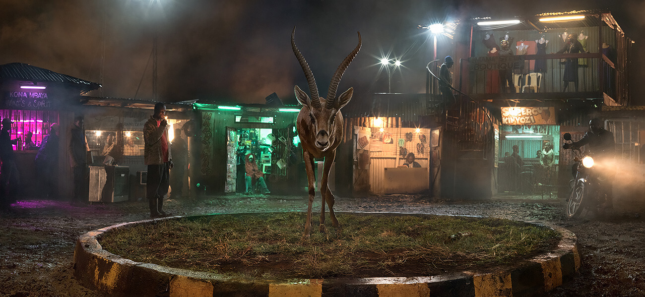 This Empty World - Roundabout with Gazelle<p>© Nick Brandt</p>