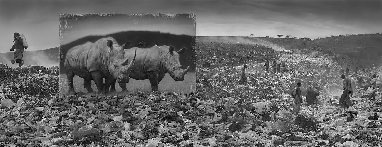 Inherit the Dust - Wasteland with Rhinos<p>© Nick Brandt</p>