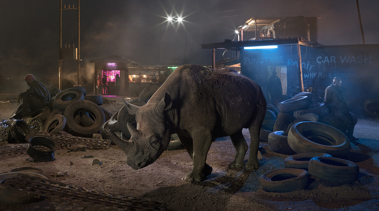 This Empty World - Garage with Blind Rhino<p>© Nick Brandt</p>
