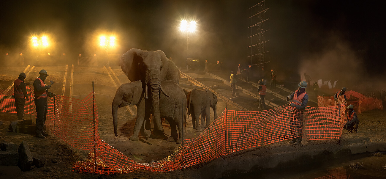 This Empty World - Highway construction with Elephants, Workers and Fence<p>© Nick Brandt</p>