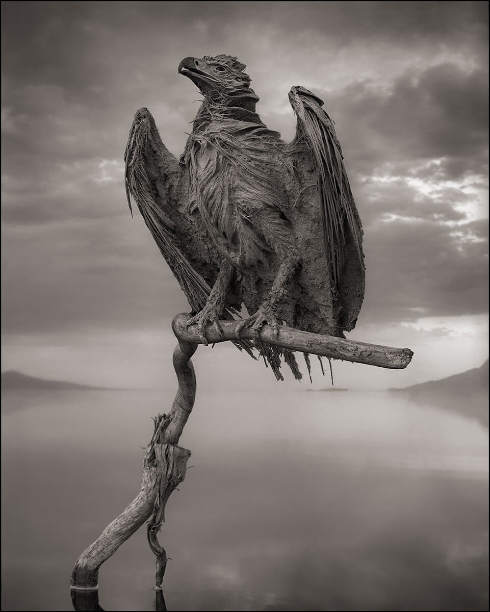 Accross the Ravaged Land - Petrified Fish Eagle, Lake Natron<p>© Nick Brandt</p>